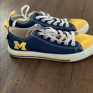 University of Michigan skicks
